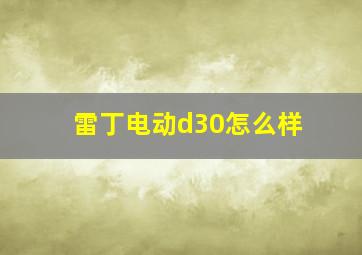 雷丁电动d30怎么样