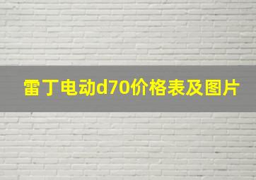 雷丁电动d70价格表及图片