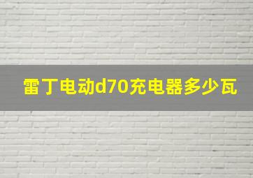 雷丁电动d70充电器多少瓦