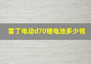 雷丁电动d70锂电池多少钱