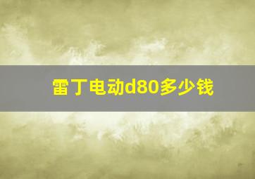 雷丁电动d80多少钱