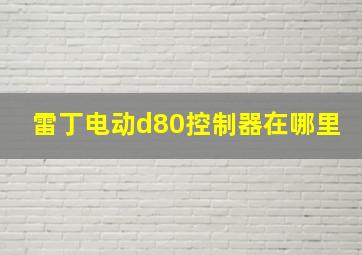 雷丁电动d80控制器在哪里