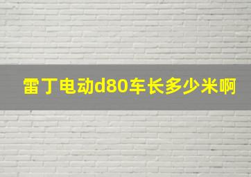 雷丁电动d80车长多少米啊