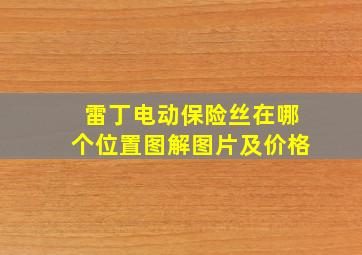 雷丁电动保险丝在哪个位置图解图片及价格