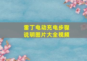 雷丁电动充电步骤说明图片大全视频