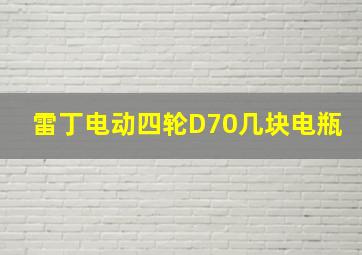 雷丁电动四轮D70几块电瓶