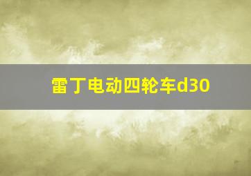 雷丁电动四轮车d30