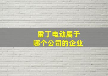 雷丁电动属于哪个公司的企业