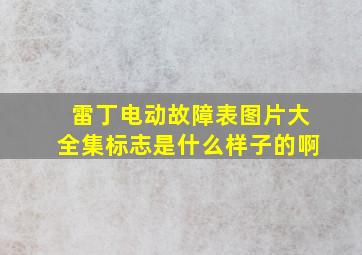 雷丁电动故障表图片大全集标志是什么样子的啊