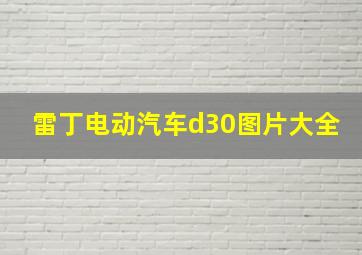 雷丁电动汽车d30图片大全