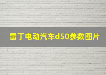 雷丁电动汽车d50参数图片