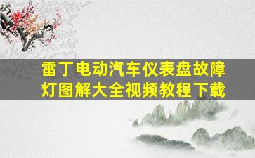 雷丁电动汽车仪表盘故障灯图解大全视频教程下载