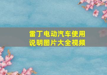 雷丁电动汽车使用说明图片大全视频