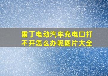 雷丁电动汽车充电口打不开怎么办呢图片大全