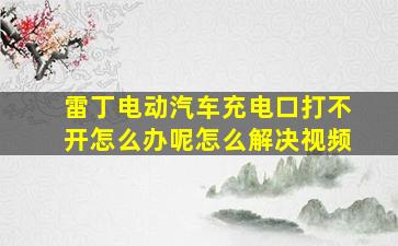 雷丁电动汽车充电口打不开怎么办呢怎么解决视频