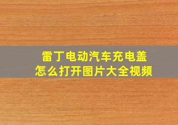 雷丁电动汽车充电盖怎么打开图片大全视频