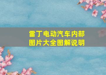 雷丁电动汽车内部图片大全图解说明