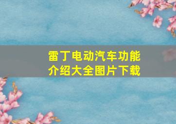 雷丁电动汽车功能介绍大全图片下载