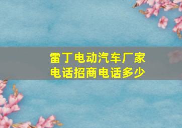 雷丁电动汽车厂家电话招商电话多少