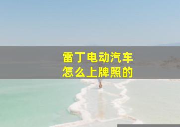 雷丁电动汽车怎么上牌照的