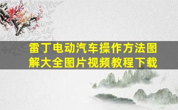 雷丁电动汽车操作方法图解大全图片视频教程下载