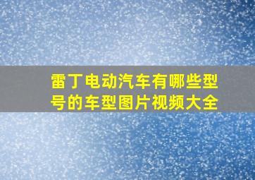 雷丁电动汽车有哪些型号的车型图片视频大全