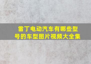 雷丁电动汽车有哪些型号的车型图片视频大全集