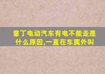 雷丁电动汽车有电不能走是什么原因,一直在车属外叫