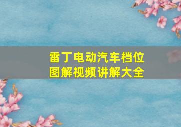 雷丁电动汽车档位图解视频讲解大全