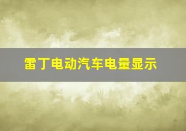 雷丁电动汽车电量显示