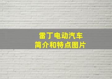 雷丁电动汽车简介和特点图片