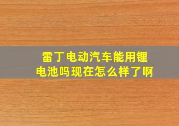 雷丁电动汽车能用锂电池吗现在怎么样了啊