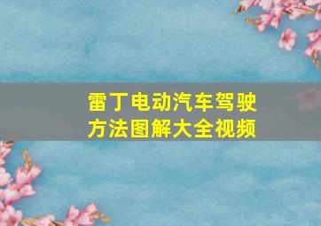 雷丁电动汽车驾驶方法图解大全视频