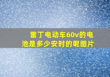 雷丁电动车60v的电池是多少安时的呢图片