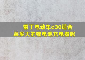 雷丁电动车d30适合装多大的锂电池充电器呢