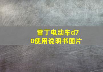 雷丁电动车d70使用说明书图片