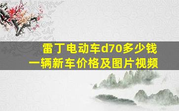 雷丁电动车d70多少钱一辆新车价格及图片视频