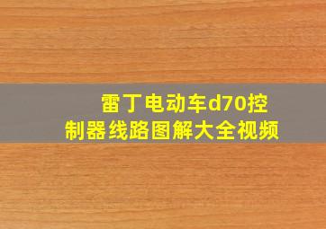 雷丁电动车d70控制器线路图解大全视频