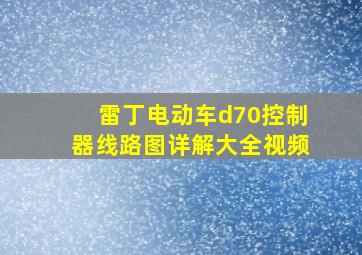 雷丁电动车d70控制器线路图详解大全视频