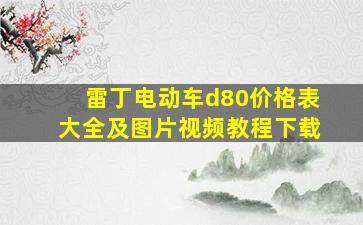 雷丁电动车d80价格表大全及图片视频教程下载