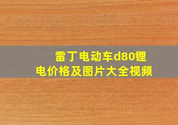 雷丁电动车d80锂电价格及图片大全视频