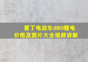 雷丁电动车d80锂电价格及图片大全视频讲解