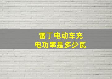 雷丁电动车充电功率是多少瓦