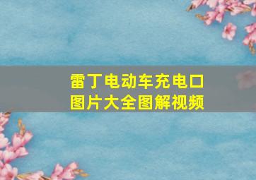 雷丁电动车充电口图片大全图解视频