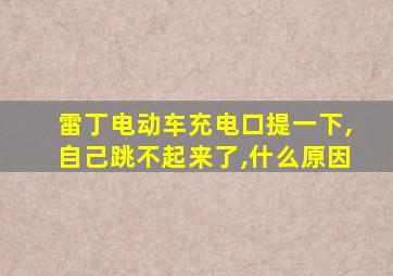 雷丁电动车充电口提一下,自己跳不起来了,什么原因