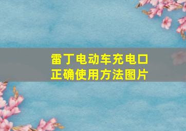 雷丁电动车充电口正确使用方法图片