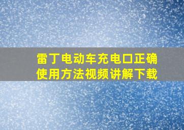 雷丁电动车充电口正确使用方法视频讲解下载