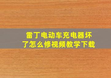 雷丁电动车充电器坏了怎么修视频教学下载