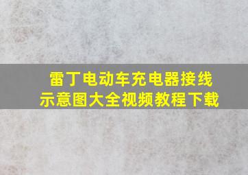 雷丁电动车充电器接线示意图大全视频教程下载