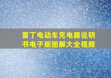 雷丁电动车充电器说明书电子版图解大全视频